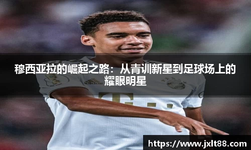 乐天堂平台